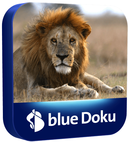 Blue-doku-DE